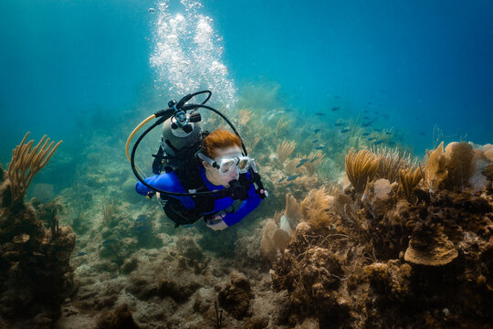 Woman Scuba Diving Reef in Caribbean BVI with Fish and Coral