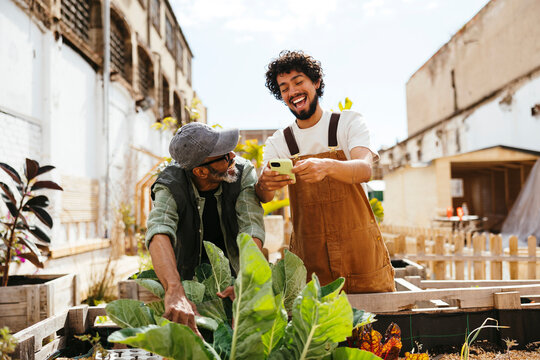 Volunteers working in an urban community garden