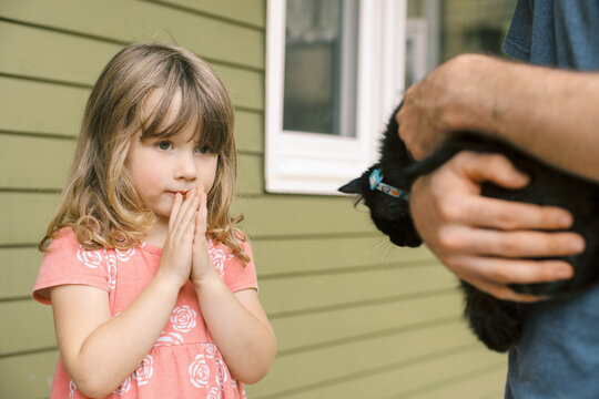 toddler meeting new adopted black kitten for first time