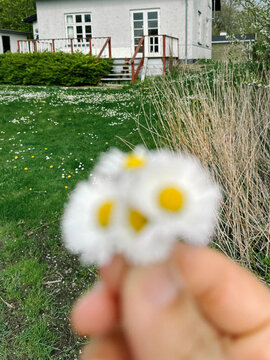 enjoying the countryside in jelling denmark