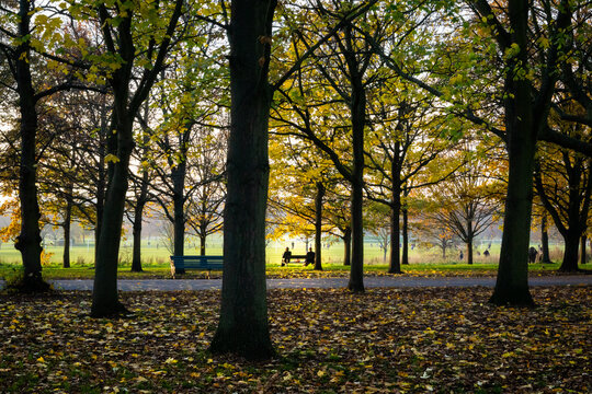 Figures on a park bench in Autumn