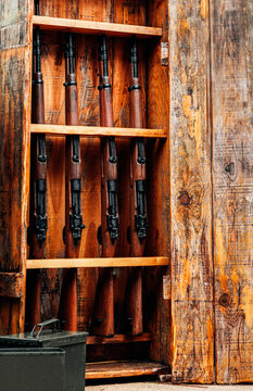 Row of rifles