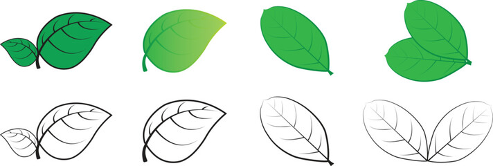 Green leaf icons collection. set of leaves. hand drawn leaves of trees and plants. Leaves outline icon. Elements design for natural, eco, bio, vegan labels.