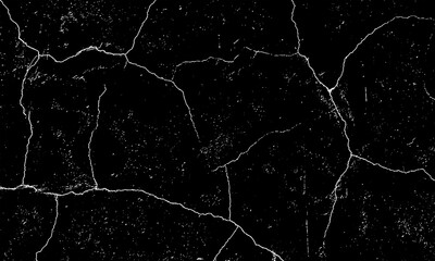 Distressed edge photos set isolated on transparent background