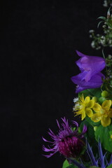 Colorful different wild flowers on right side on black background