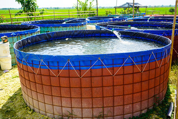 Raising and cultivating fish by using fish ponds made of round or circular tarpaulins that can...