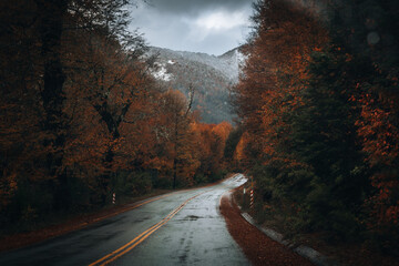 Otoño del sur
