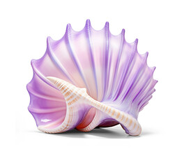 Seashell. Cut out on transparent
