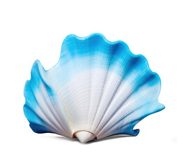 Seashell. Cut out on transparent
