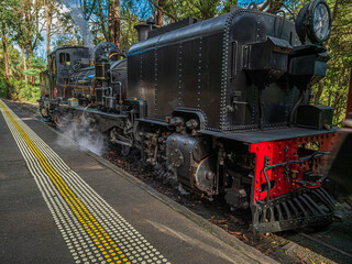 Black Steam Locomotive With Tender