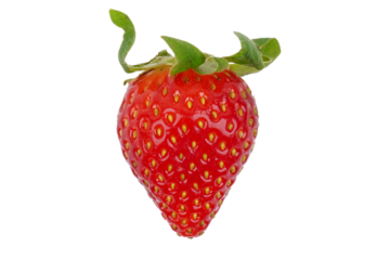 one fresh red strawberry isolated transparent