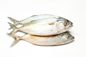 a raw mackerel isolated on a white background