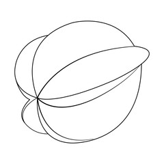 Illustration vector graphic of star fruit outline isolated on white background. Perfect to use for coloring page or drawing page.