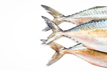 mackerel fish tail isolated on white background