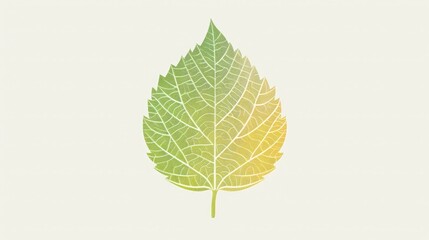 Fototapeta premium A close-up illustration of a single green leaf with detailed veins, transitioning from green to yellow, isolated on a pale background.