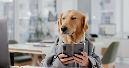 Office, business and dog with smartphone in laptop or documents for communication and networking. Comic, mimic and animal or pet on suit in desk at workplace for humor, fun and browse internet