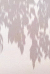 背景イラスト_木漏れ日