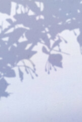 背景イラスト_木漏れ日