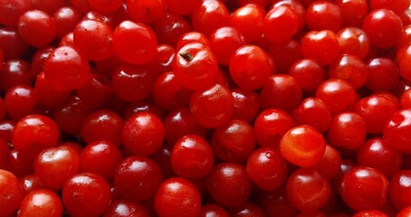 Red Cherry