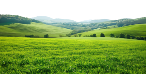 Countryside landscape with green field and mountains on background isolated on transparent background