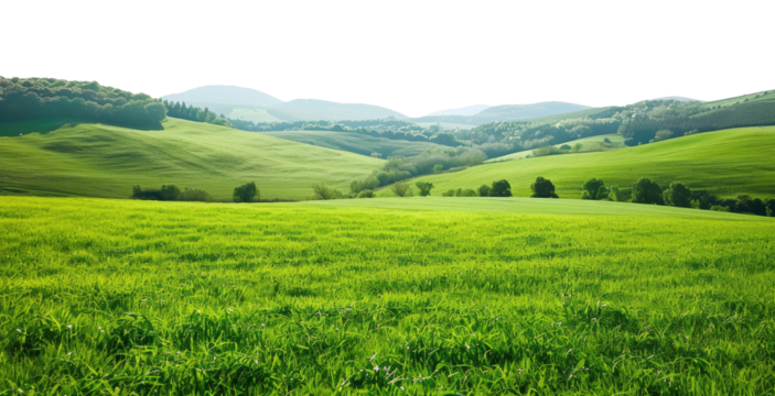 Countryside landscape with green field and mountains on background isolated on transparent background