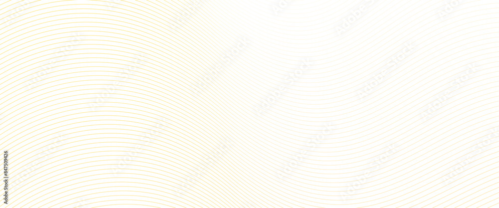 Poster Vector abstract Transparent wavy line on line gold pattern, line pattern background.
