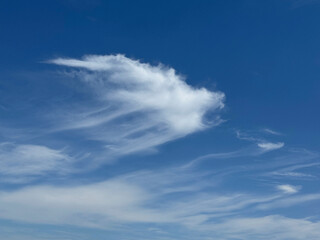 Obraz premium White clouds in the sky