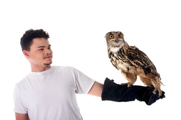 Eurasian eagle-owl in studio