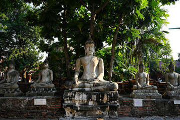 Obraz premium statue of buddha