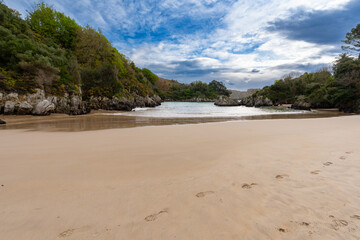 footprints in the sand of a beach with lots of lush green vegetation Bellerín in Cantabria Spain Europe. paradise of sea and mountains.