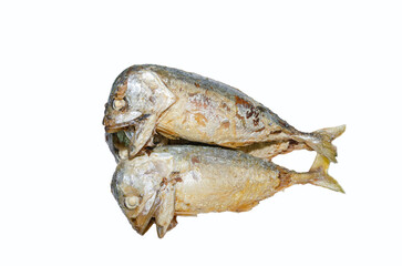 Mackerel fried in oil on a white background