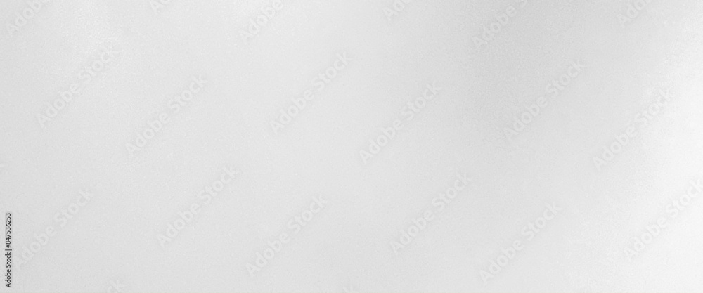 Poster Vector white and grey soft smooth gradient texture color. shiny bright background	
