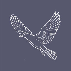 Obraz premium Illustration of a flying bird with an elegant line art
