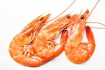 shrimps on a white background