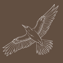 Obraz premium Illustration of a flying bird with an elegant line art