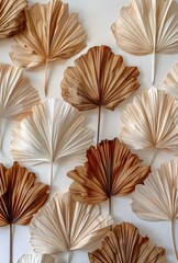 Dried Palm Leaf Arrangement on White Background