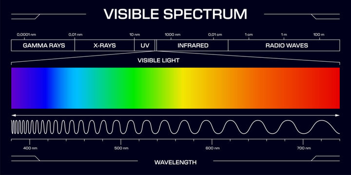 Visible spectrum light, Vector diagram, showing the range of electromagnetic wavelengths from violet to red, includes gamma rays, x-rays, uv, infrared and radio waves frequency scale in nanometers