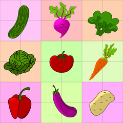 colorfull vegetable  illustration