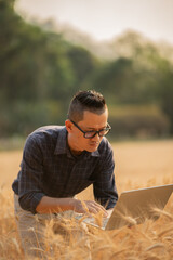 Farmer giving advice on wheat work online on tablet in wheat field.