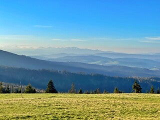 landscape in the morning © sample