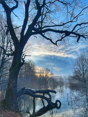 bench in the park © sample