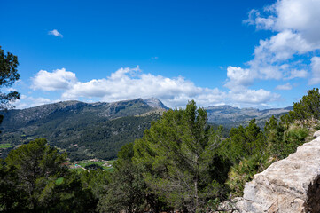 Mallorca, Landschaft, Mittelmeer, Pflanzen, Natur, Blumen, Tiere, Markt, Reisen, Travel, Europa,...