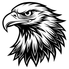eagle head black and white vector silhouette illustration