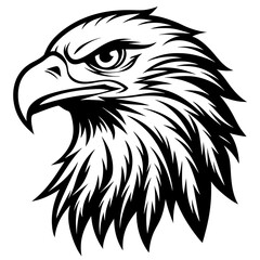 eagle head black and white vector silhouette illustration