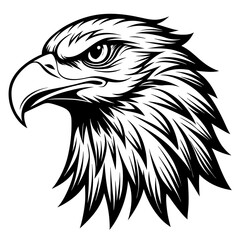 eagle head black and white vector silhouette illustration