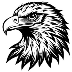 eagle head black and white vector silhouette illustration