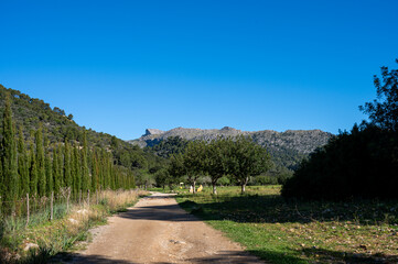 Mallorca, Landschaft, Mittelmeer, Pflanzen, Natur, Blumen, Tiere, Markt, Reisen, Travel, Europa, Mediterran