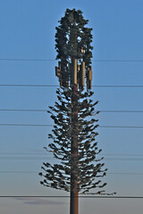 “Concealed Cell Tower” stands out by use of two different branch patterns