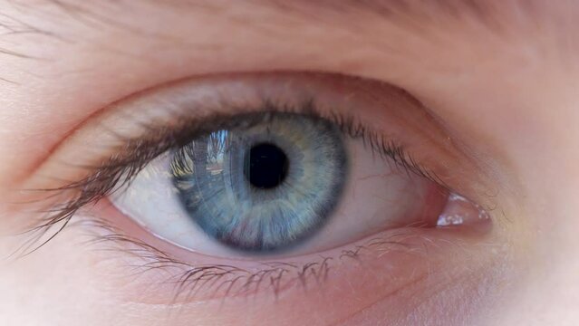 Close-up of Person's Eye With Blue Iris. Blue Eye of Child Looking at Camera Close Up. Macro Shot Opening and Closing Blue Eyes Little Girl. Motion of Children Eyes. Human Eye Iris Opening Pupil.