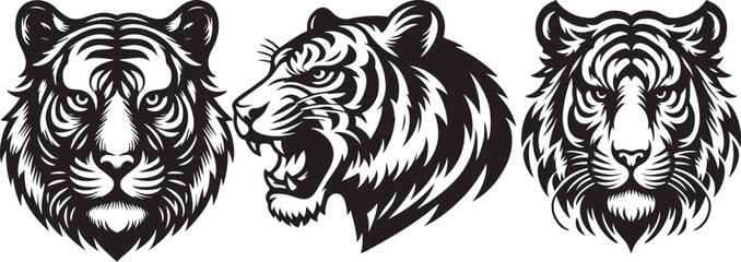 PrinA tiger vector head